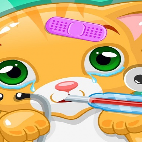 Little Cat Doctor Pet Vet Game