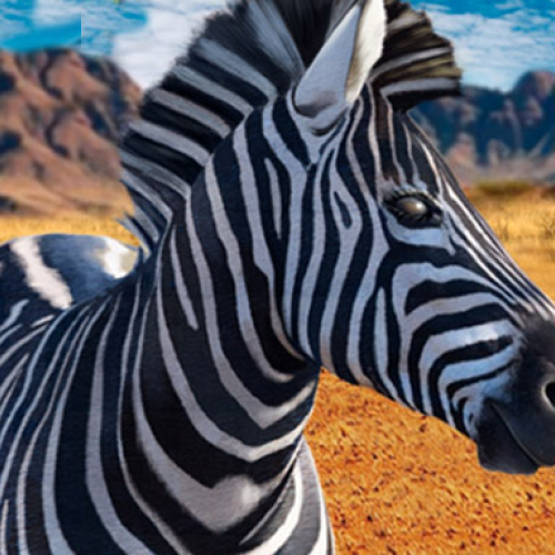 ZEBRA HUNTER