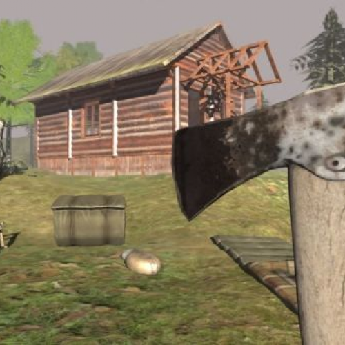 Survive In The Forest