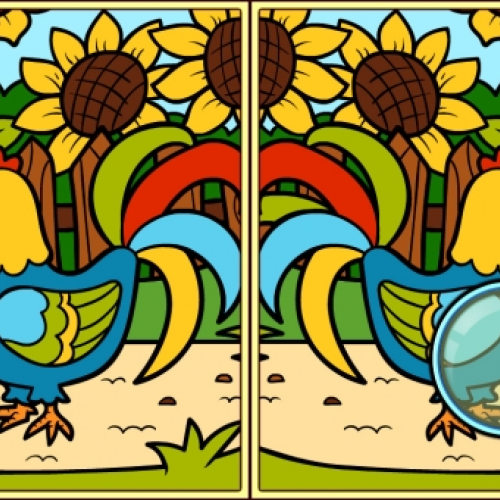Spring Differences