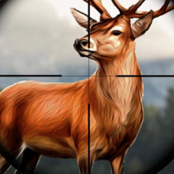 Animal Safari Hunter 2020