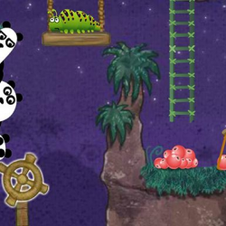 3 Pandas 2. Night