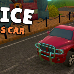 Police Endless Car