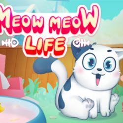 Meow Meow Life