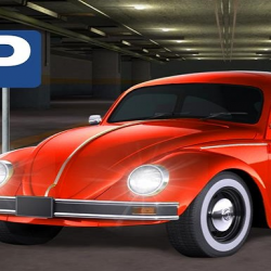 Real Car Parking Mania Simulator