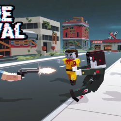 Zombies Survival