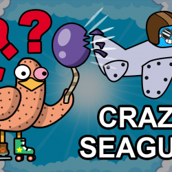 Crazy Seagull