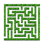 Maze